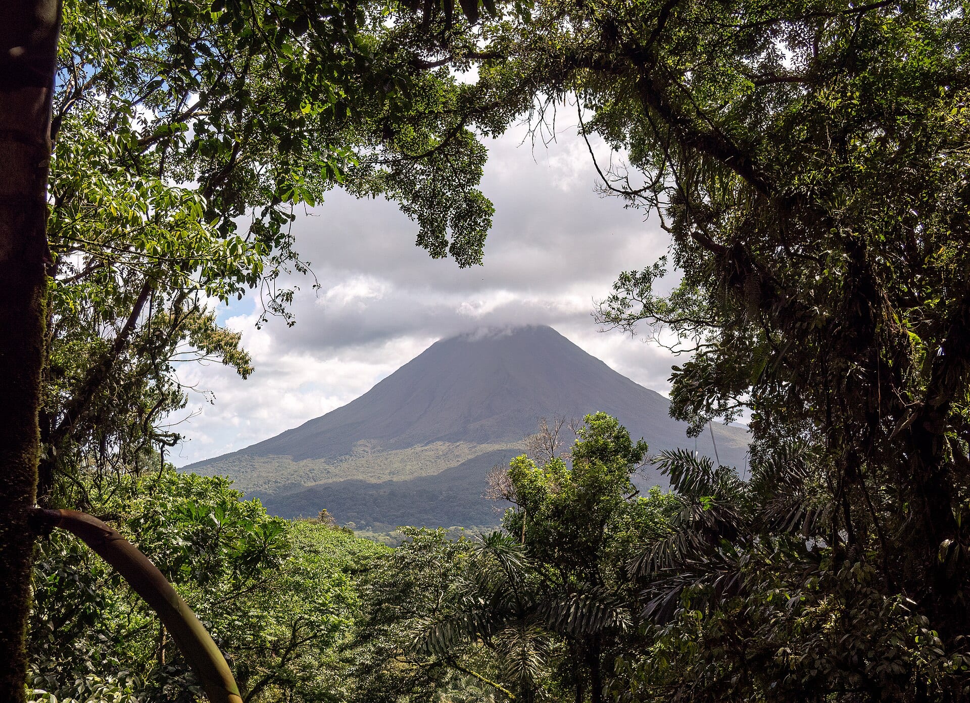 Costa Rica salvaje